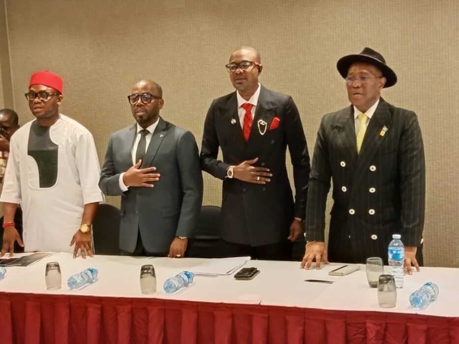 WIS Moves to Pull Tinubu’s US$1 trn Economy Through RHA, to Establish World Investment Bank in Nigeria