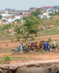 JUST IN: No Influx of Fulani Herdsmen in Gwagwalada – FCT Police, says Report Misleading